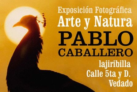 Pablo Caballero — Exposicion de Fotos