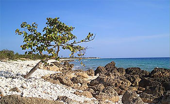 Playa Punta Maria Aguilar © eyanex, panoramio